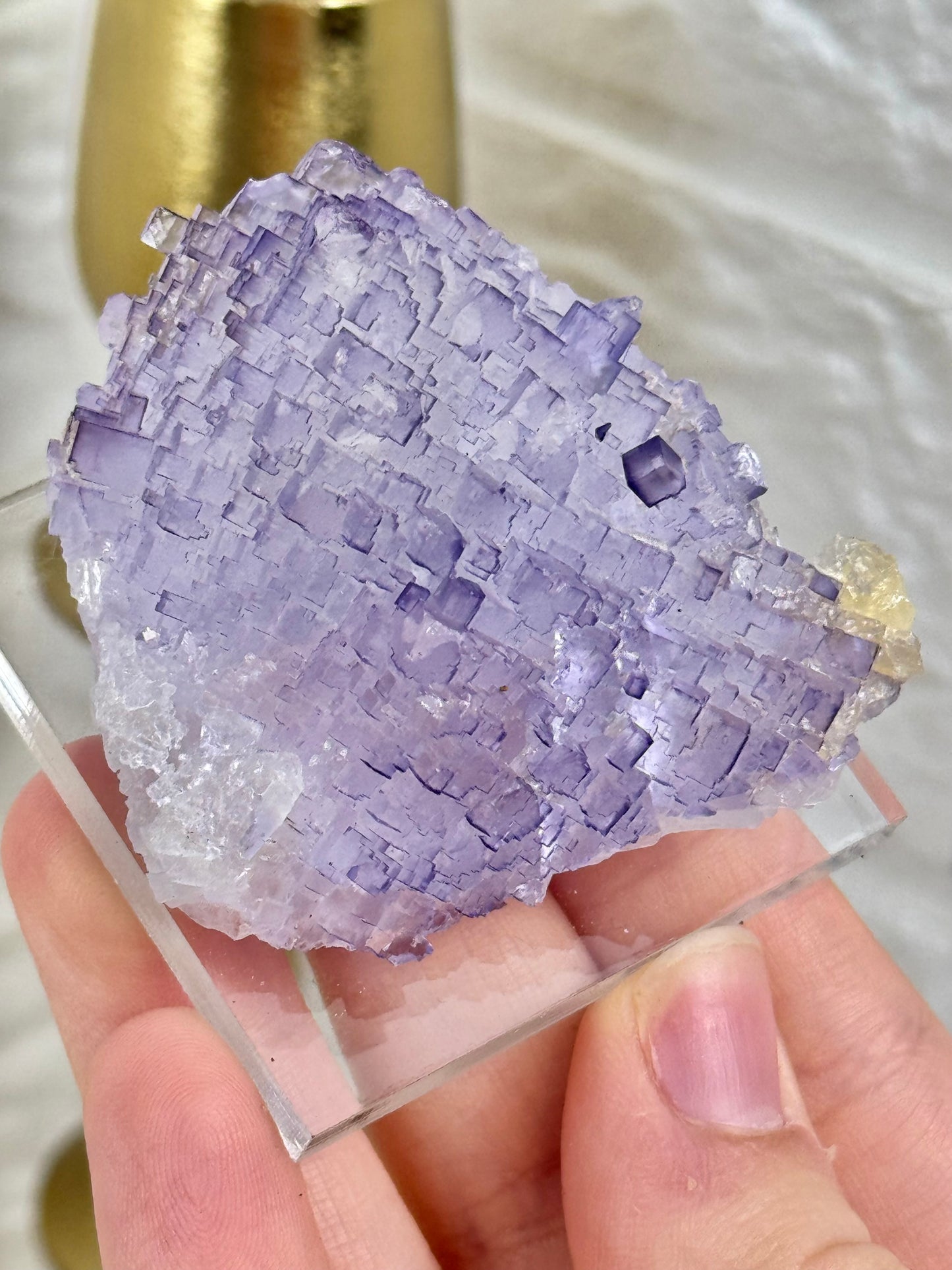 You pick! Incredible deep purple fluorites from the Tule mine in Mexico