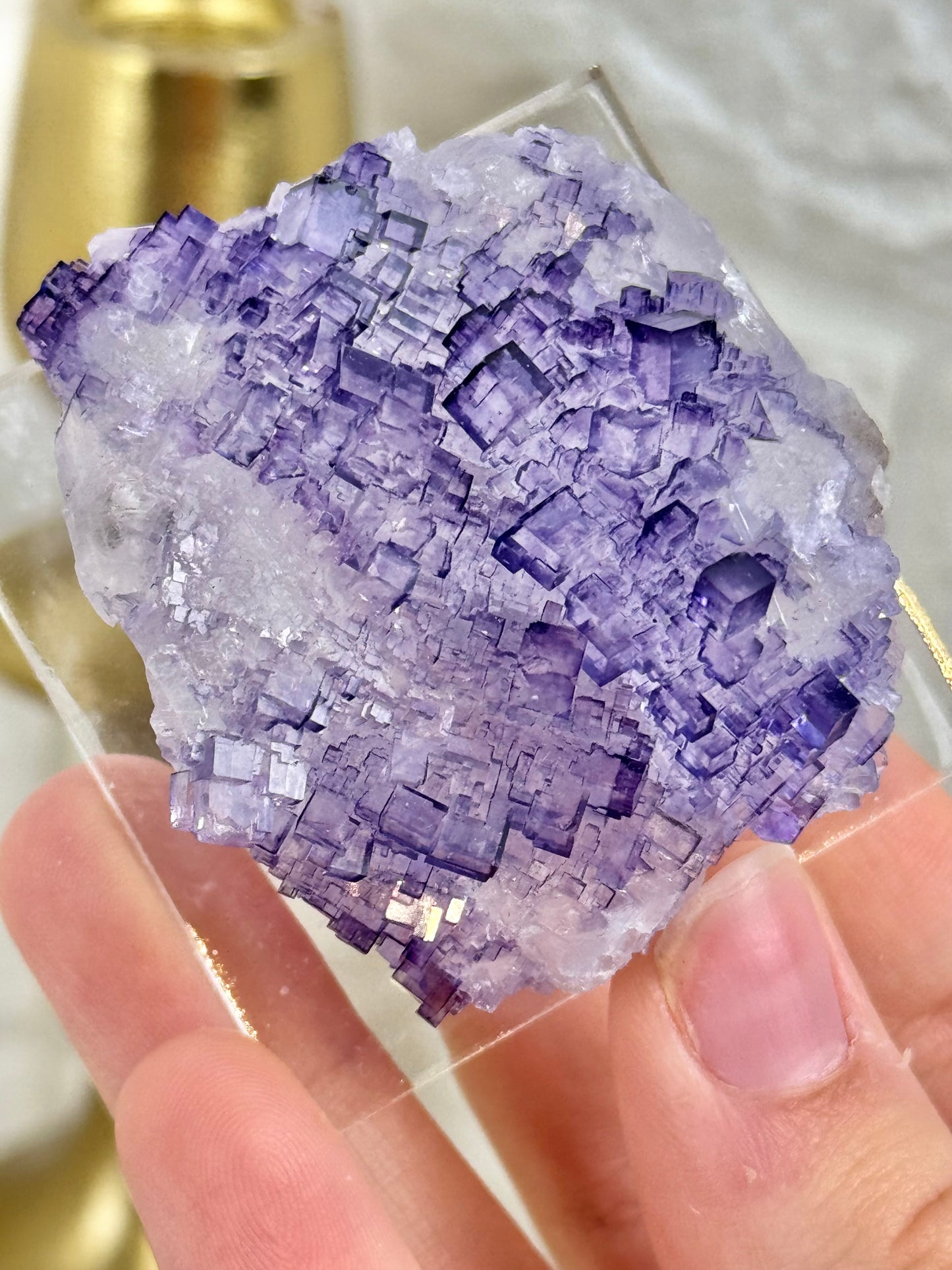 You pick! Incredible deep purple fluorites from the Tule mine in Mexico