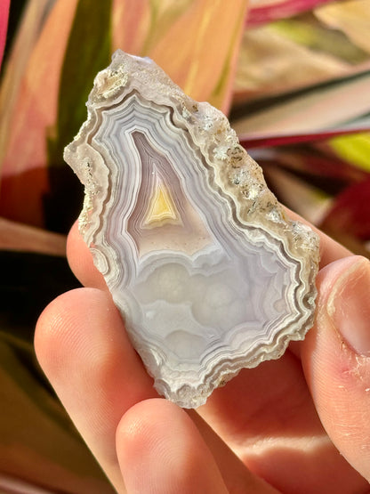 Small Airy laguna agate VV