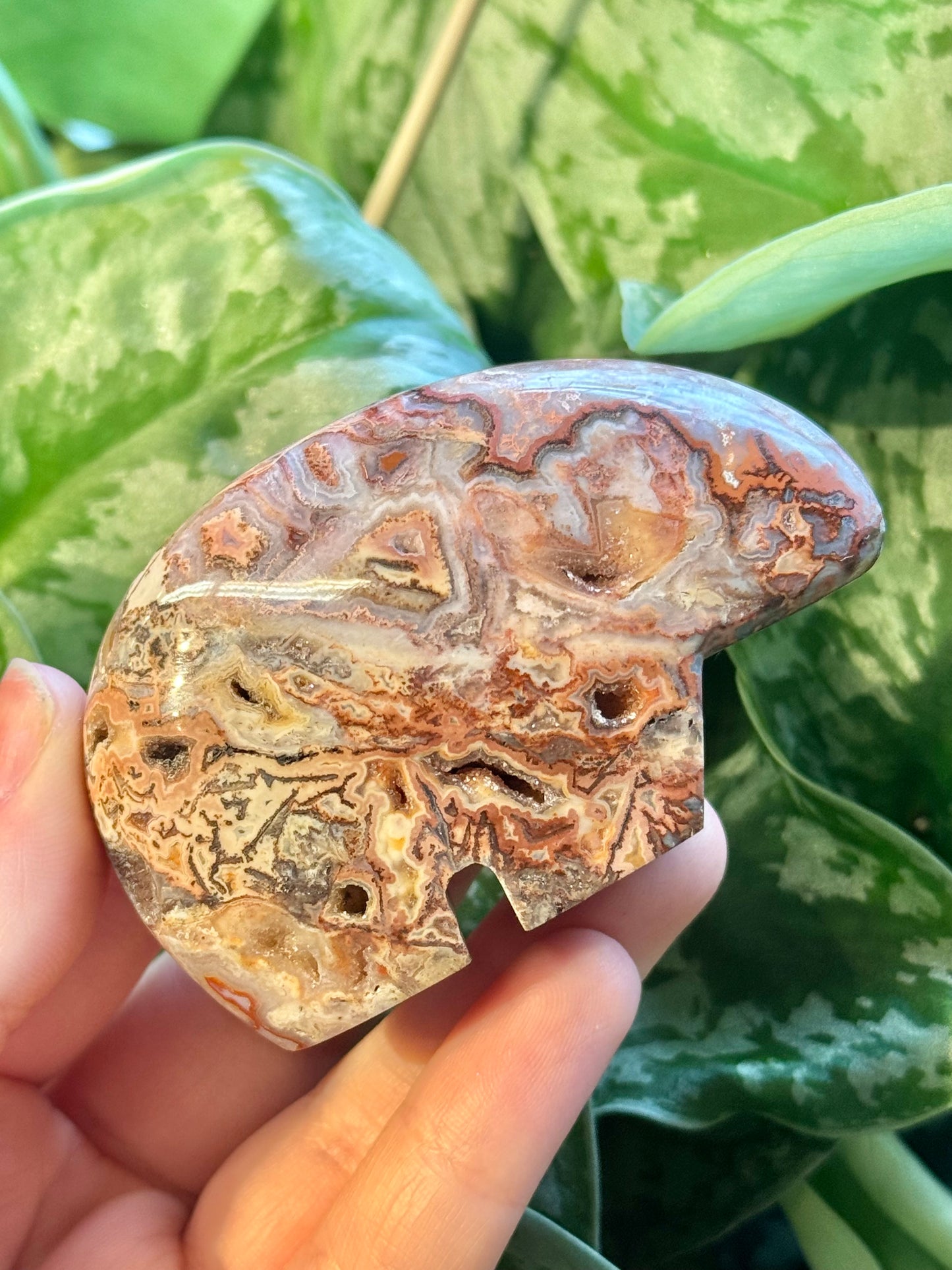 1 SM intuitive pink crazy lace agate bear from Indonesia