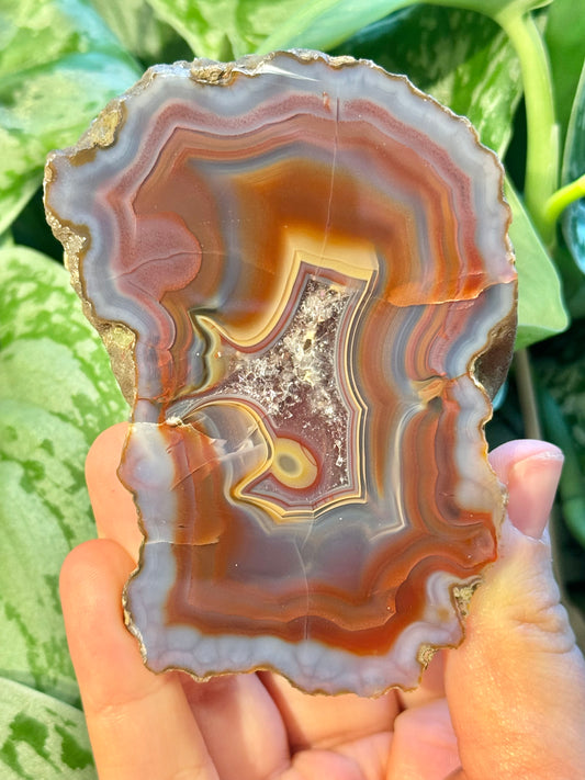 Insane high quality banded Condor agate from Argentina A