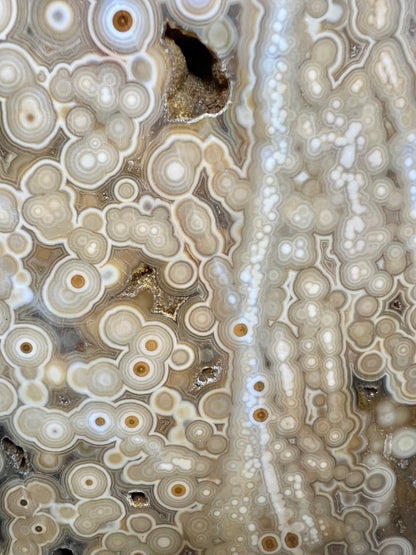 AAA yellow druzy orbicular ocean jasper slab from Madagascar