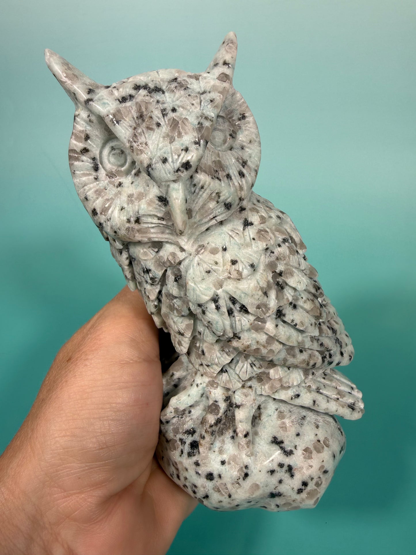 LG kiwi jasper owl A