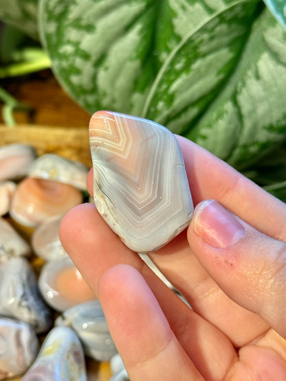 1 beautiful pink botwana agate tumble