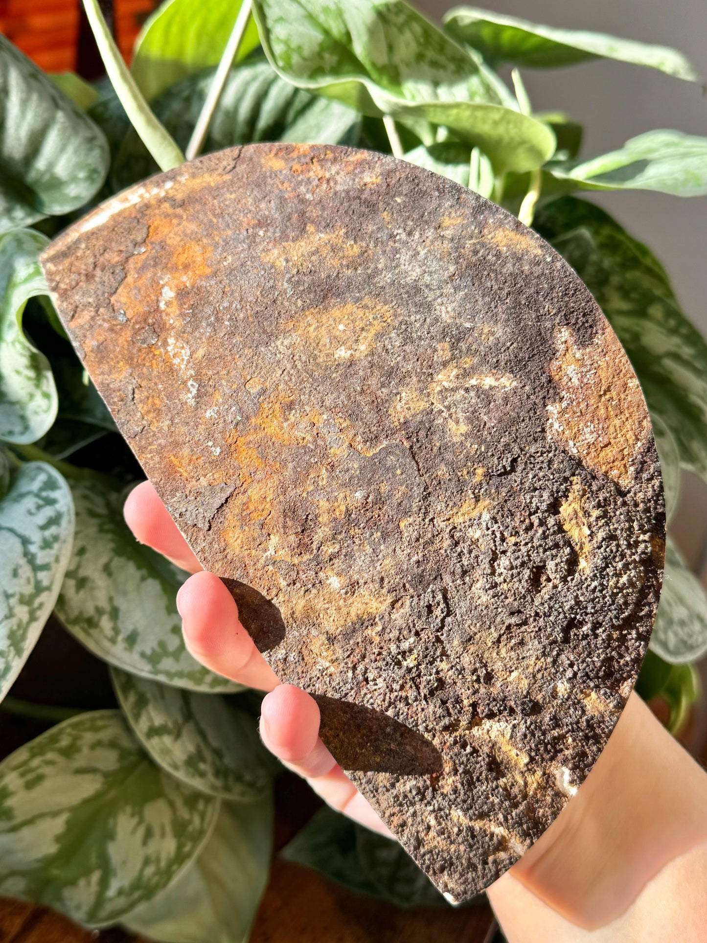 XL lavender fluorite Freeform from Mexico