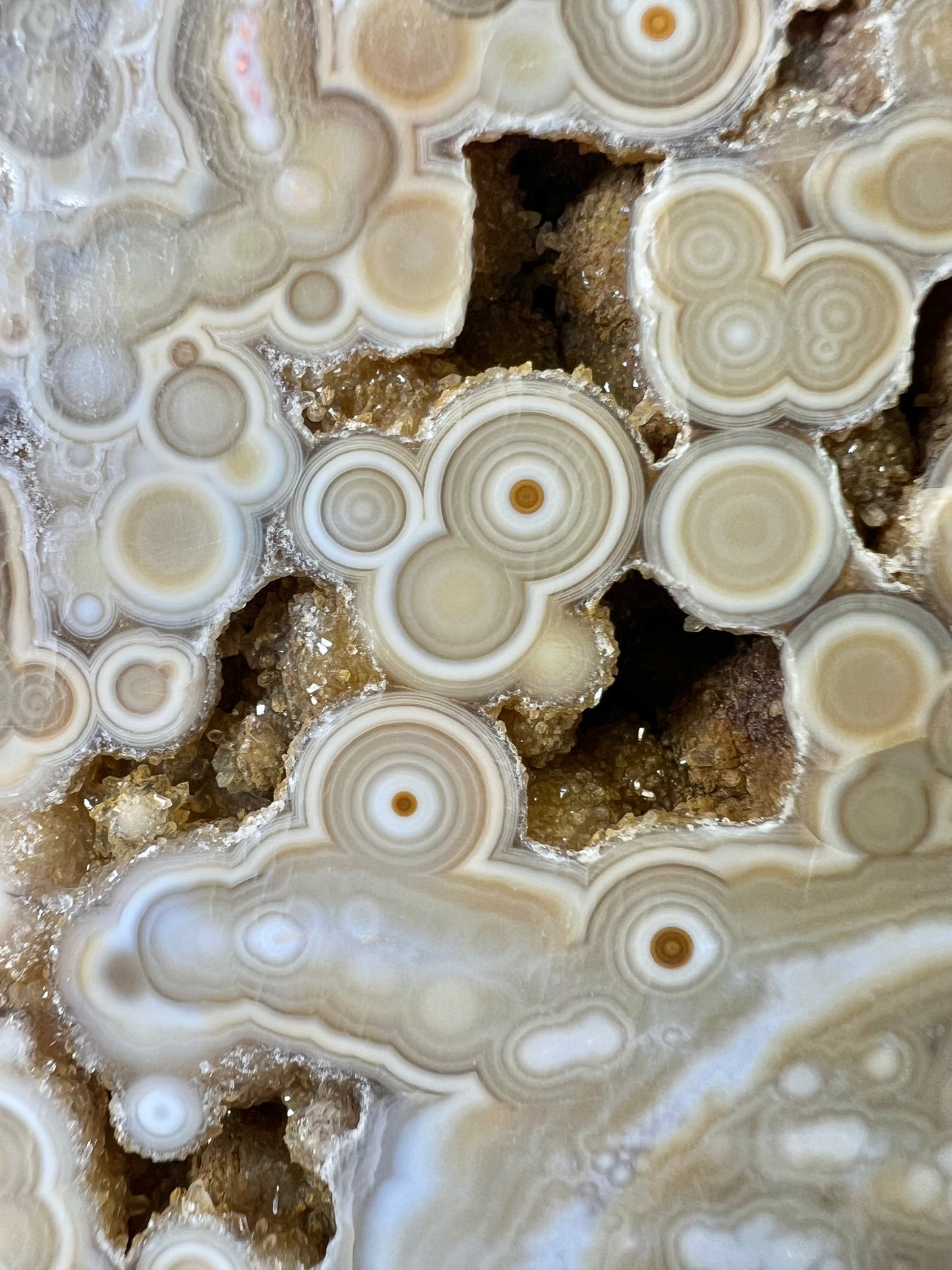 AAA yellow druzy orbicular ocean jasper slab from Madagascar