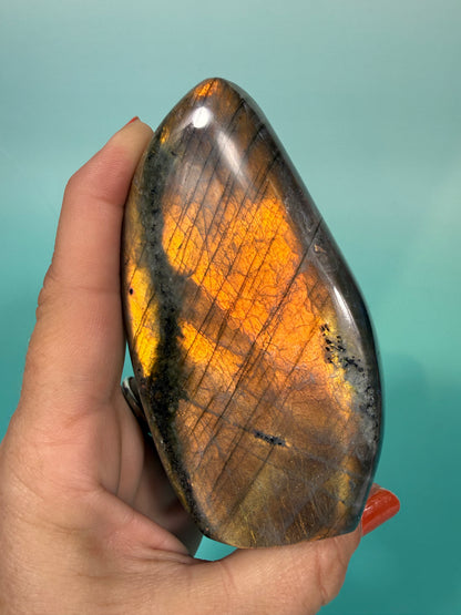 Tangerine flash labradorite Freeform E