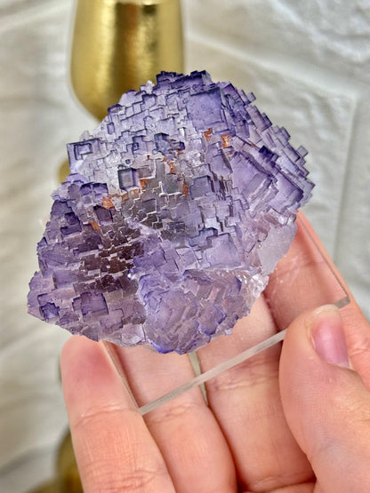 You pick! Incredible deep purple fluorites from the Tule mine in Mexico