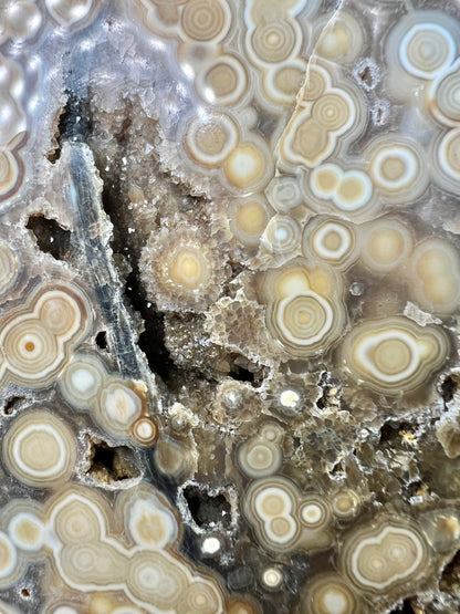 AAA yellow druzy orbicular ocean jasper slab from Madagascar