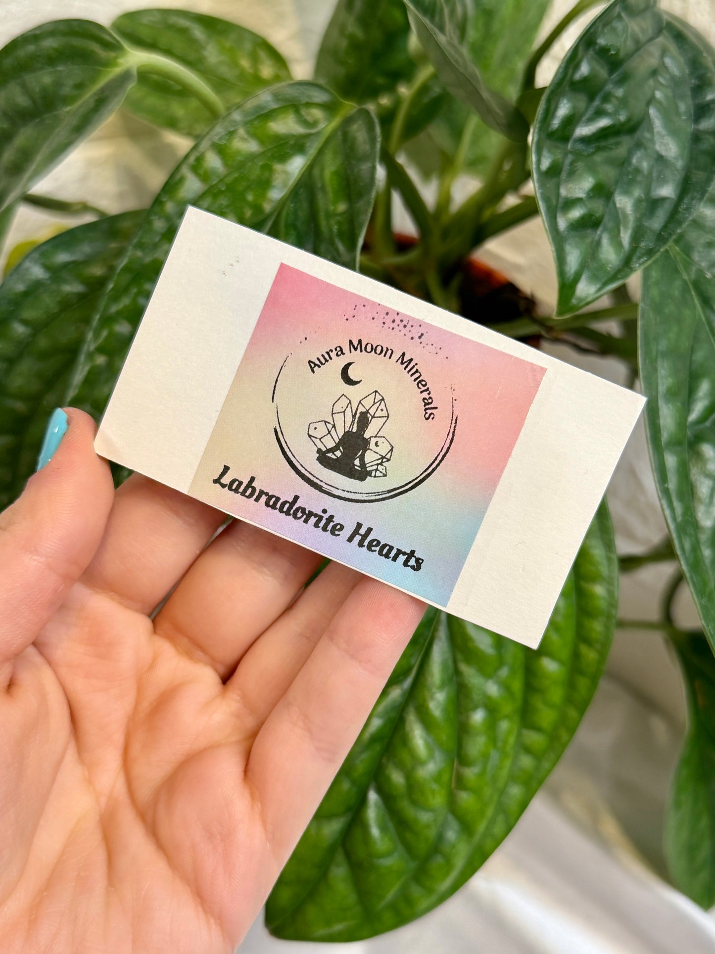 1 auramoon XS labradorite heart pack