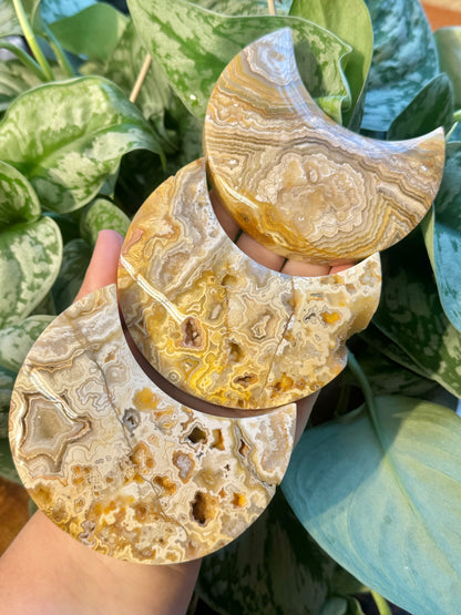 1 intuitive yellow crazy lace agate moon from Indonesia