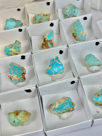 1 turquoise from Arizona
