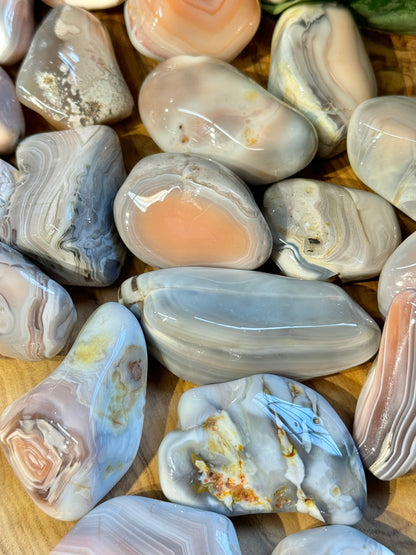 1 beautiful pink botwana agate tumble