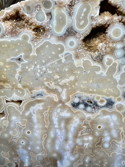 AAA yellow druzy orbicular ocean jasper slab from Madagascar