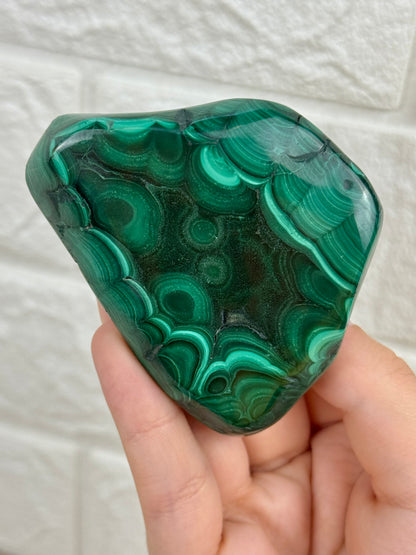 You pick! Malachite Freeform’s