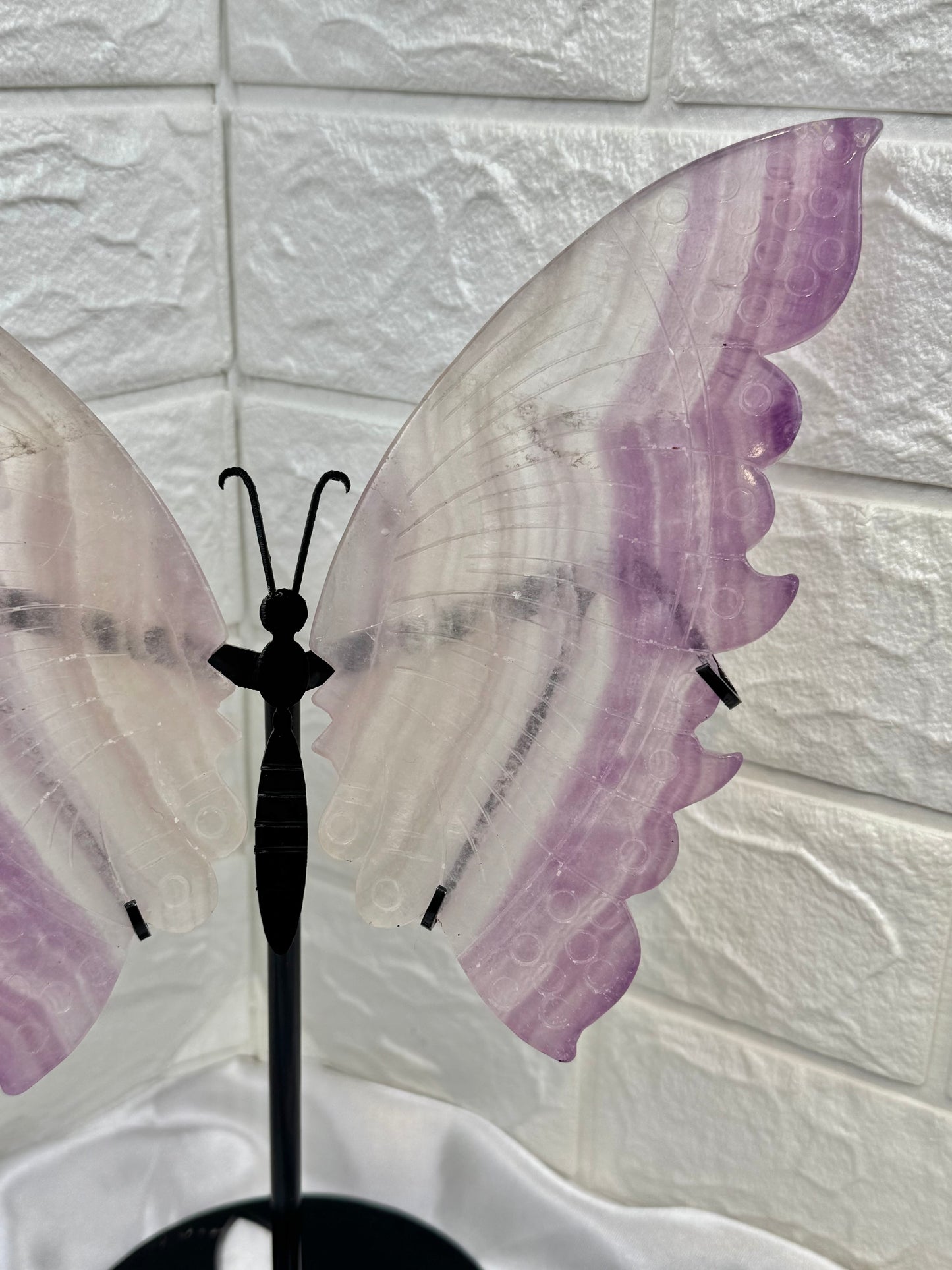 Stunning LG purple fluorite butterfly wings