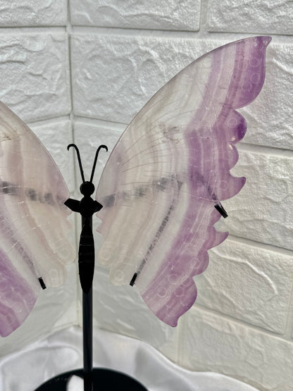 Stunning LG purple fluorite butterfly wings