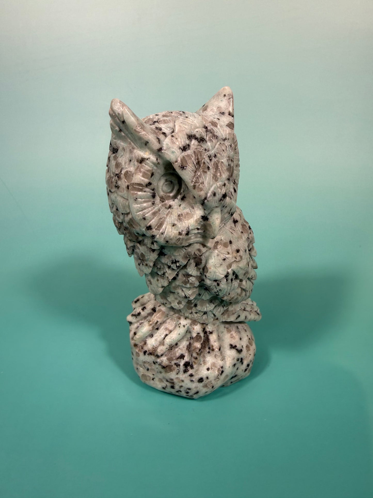 LG kiwi jasper owl A