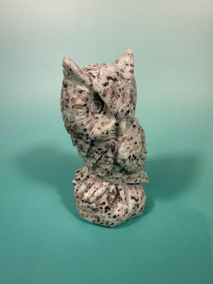 LG kiwi jasper owl A