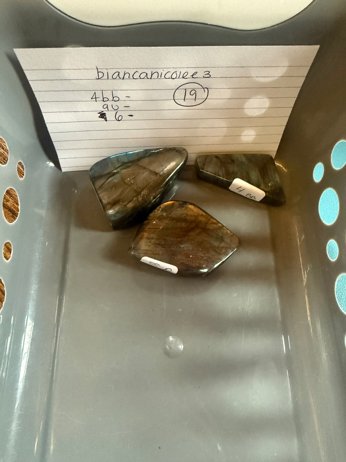 Biancanicolee3