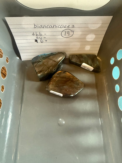 Biancanicolee3