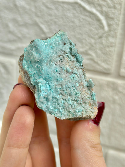 You pick! Aurichalcite specimens from Nevada