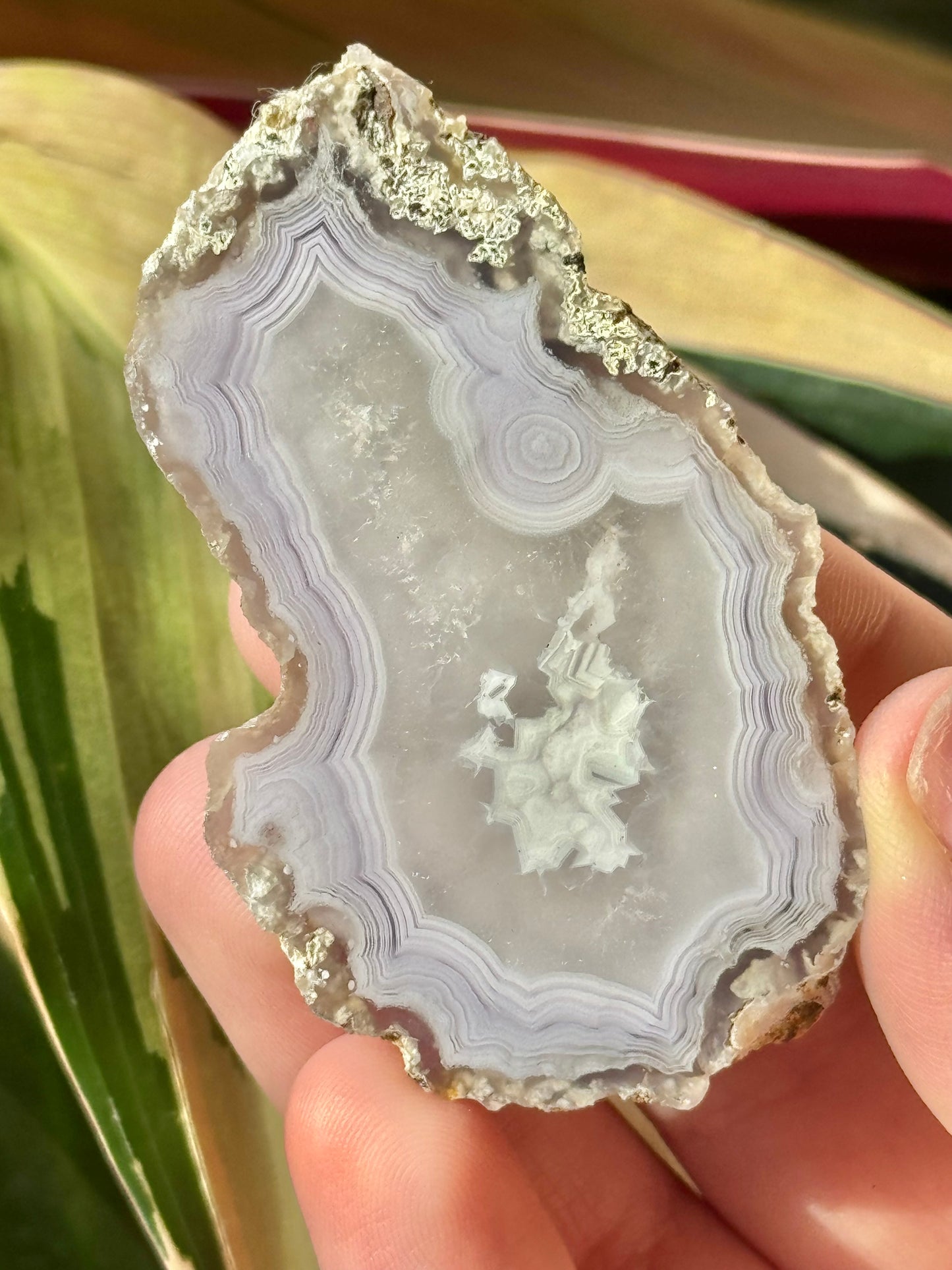 Angelic white laguna agate QQ