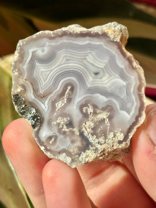 Mossy white laguna agate MM