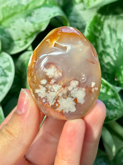 Flower agate palm stone from Madagascar