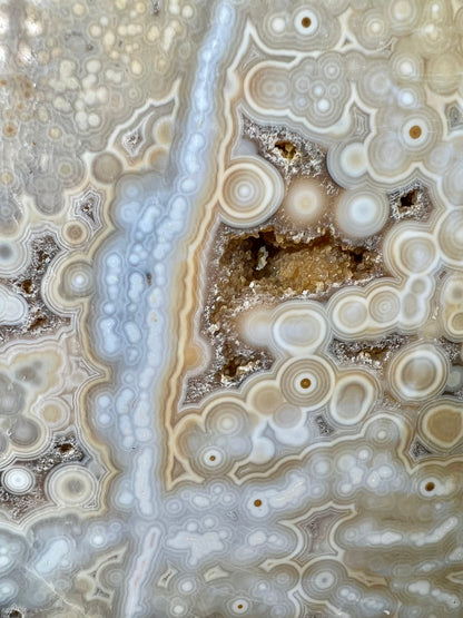 AAA yellow druzy orbicular ocean jasper slab from Madagascar