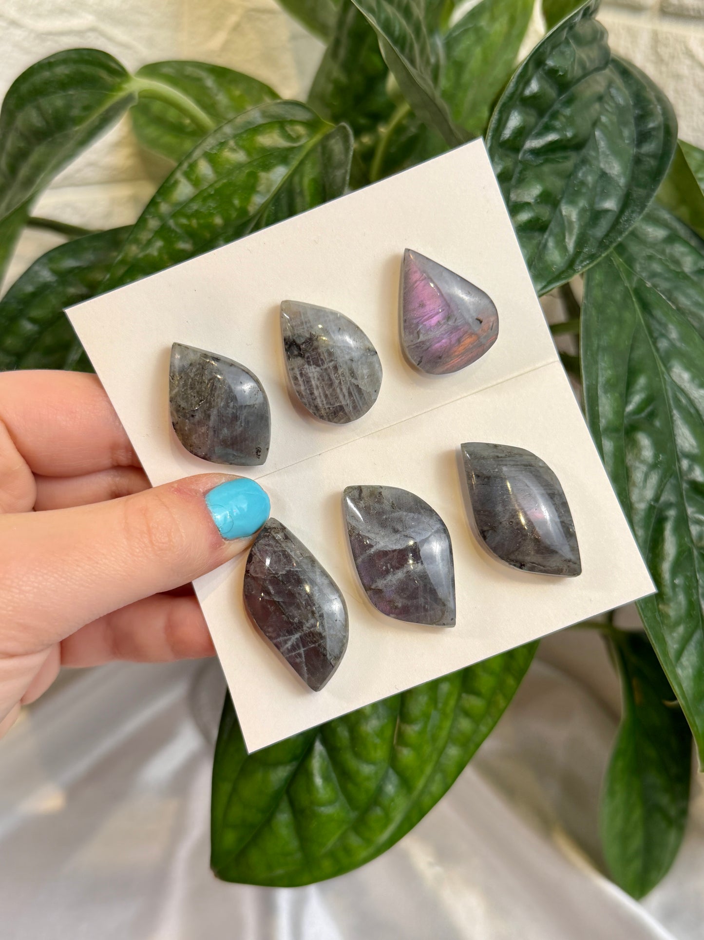 1 SM auramoon labradorite cabachon pack