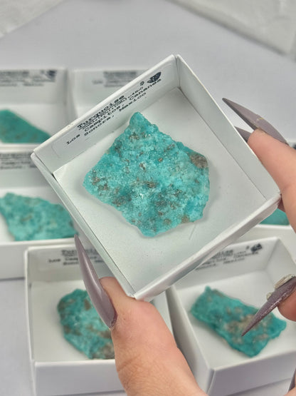 1 turquoise from Sonora Mexico