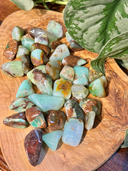 1 beautiful green chrysoprase tumble