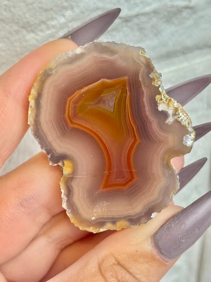 You pick! Stunning Laguna agates from Chihuahua Mexico