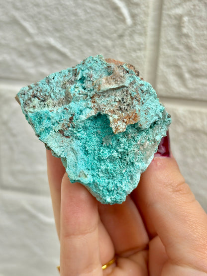 You pick! Aurichalcite specimens from Nevada