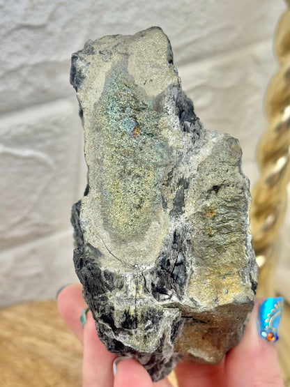 Rainbow marcasite included fossilized wood from Turkey E