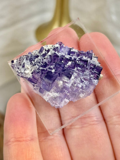 You pick! Deep purple fluorites from the Tule mine in Mexico