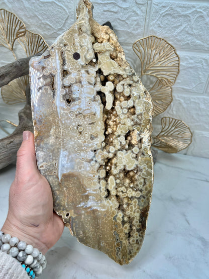 AAA yellow druzy orbicular ocean jasper slab from Madagascar