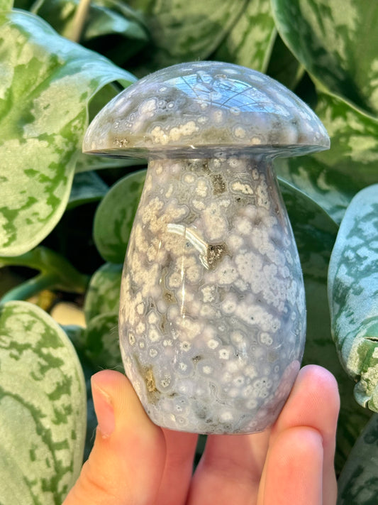 Periwinkle sea jasper mushroom