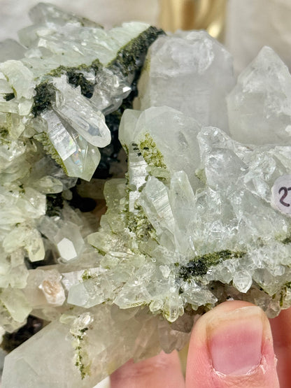 Insane Chlorite x Quartz x Epidote specimen from Anatolia, Turkey