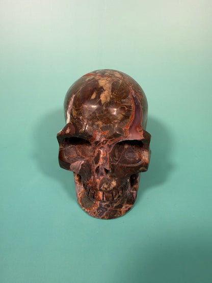 Amazing Money agate skull