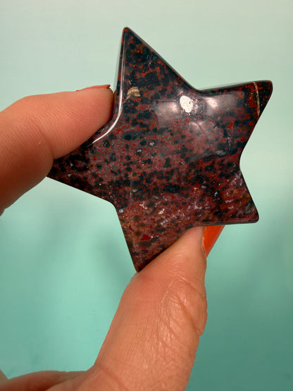 1 colorful sea jasper star