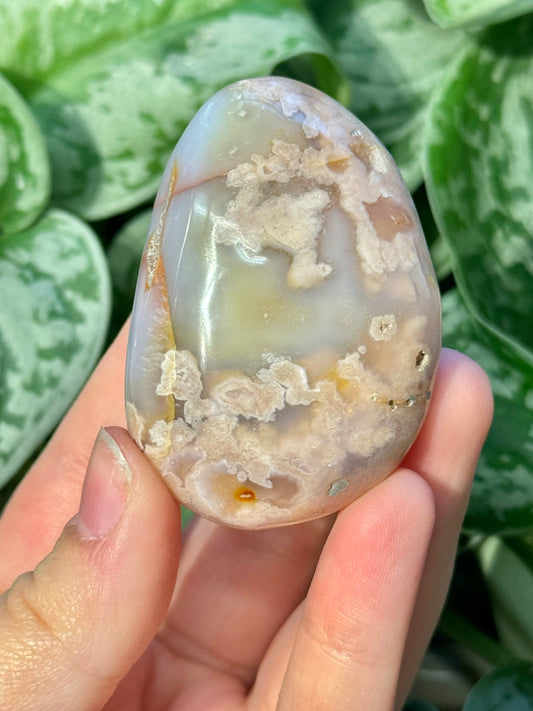 Flower agate palm stone from Madagascar