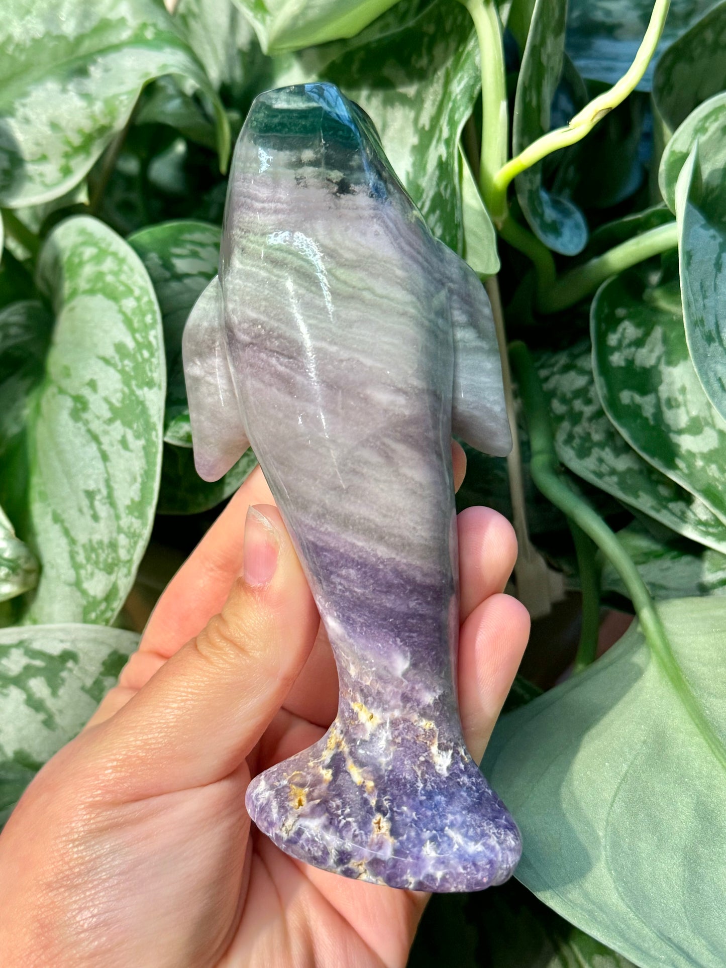 LG silky fluorite manatee C