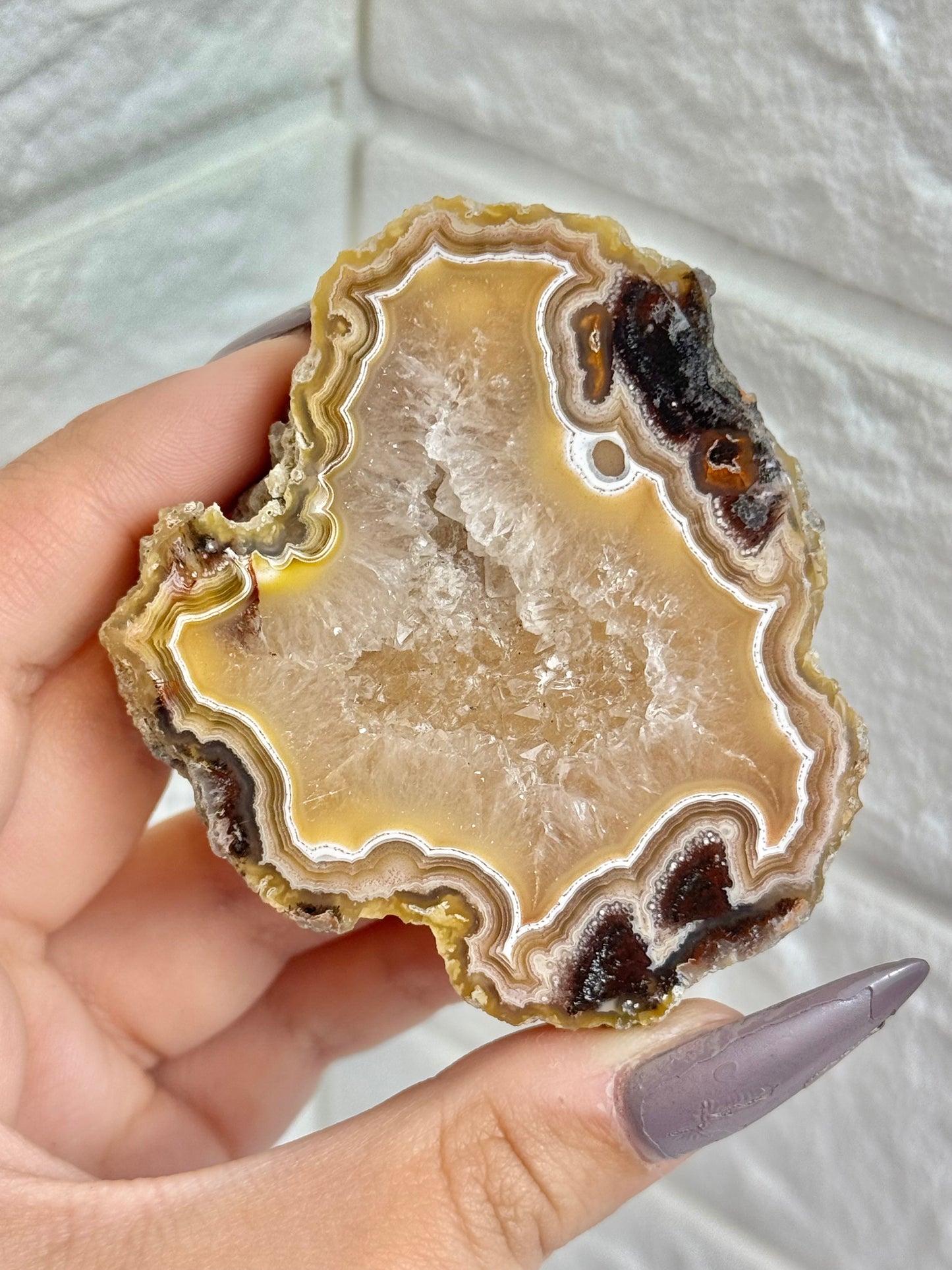 You pick! Beautiful fall toned Laguna agates from Chihuahua Mexico