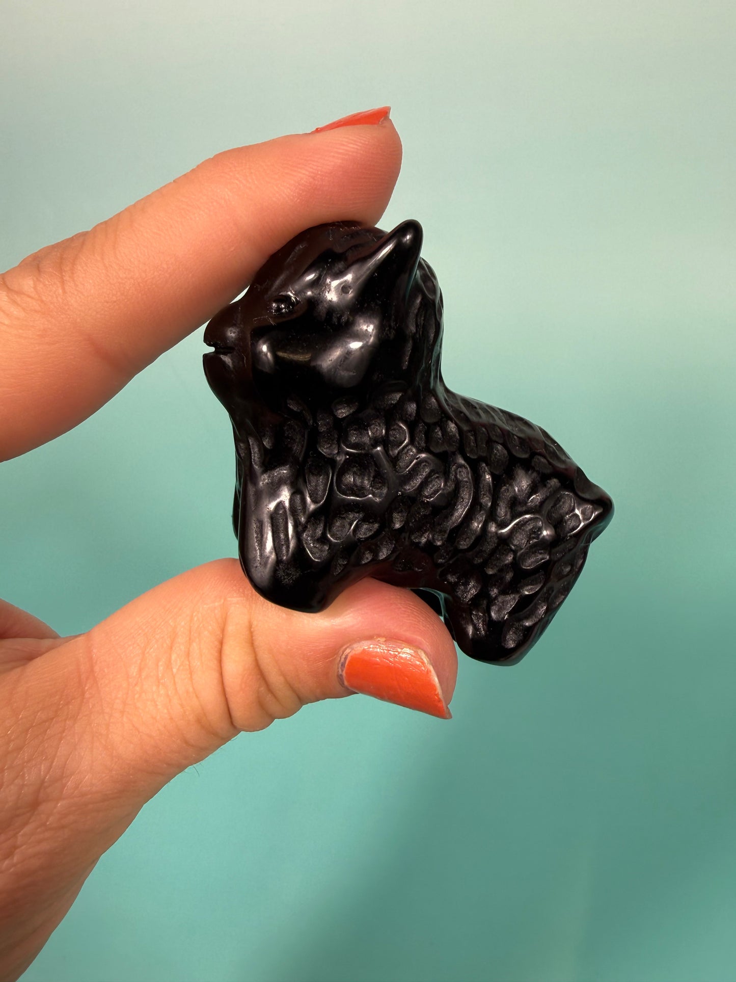 Black obsidian Highland cow