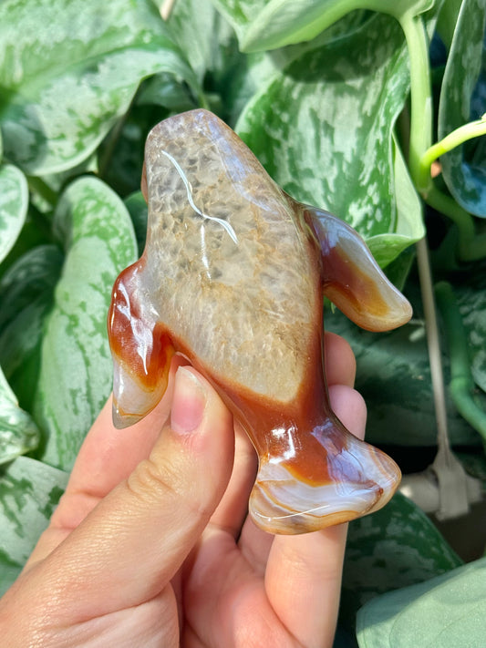 Heated carnelian manatee B