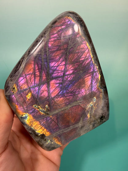 Hot pink flash labradorite Freeform A