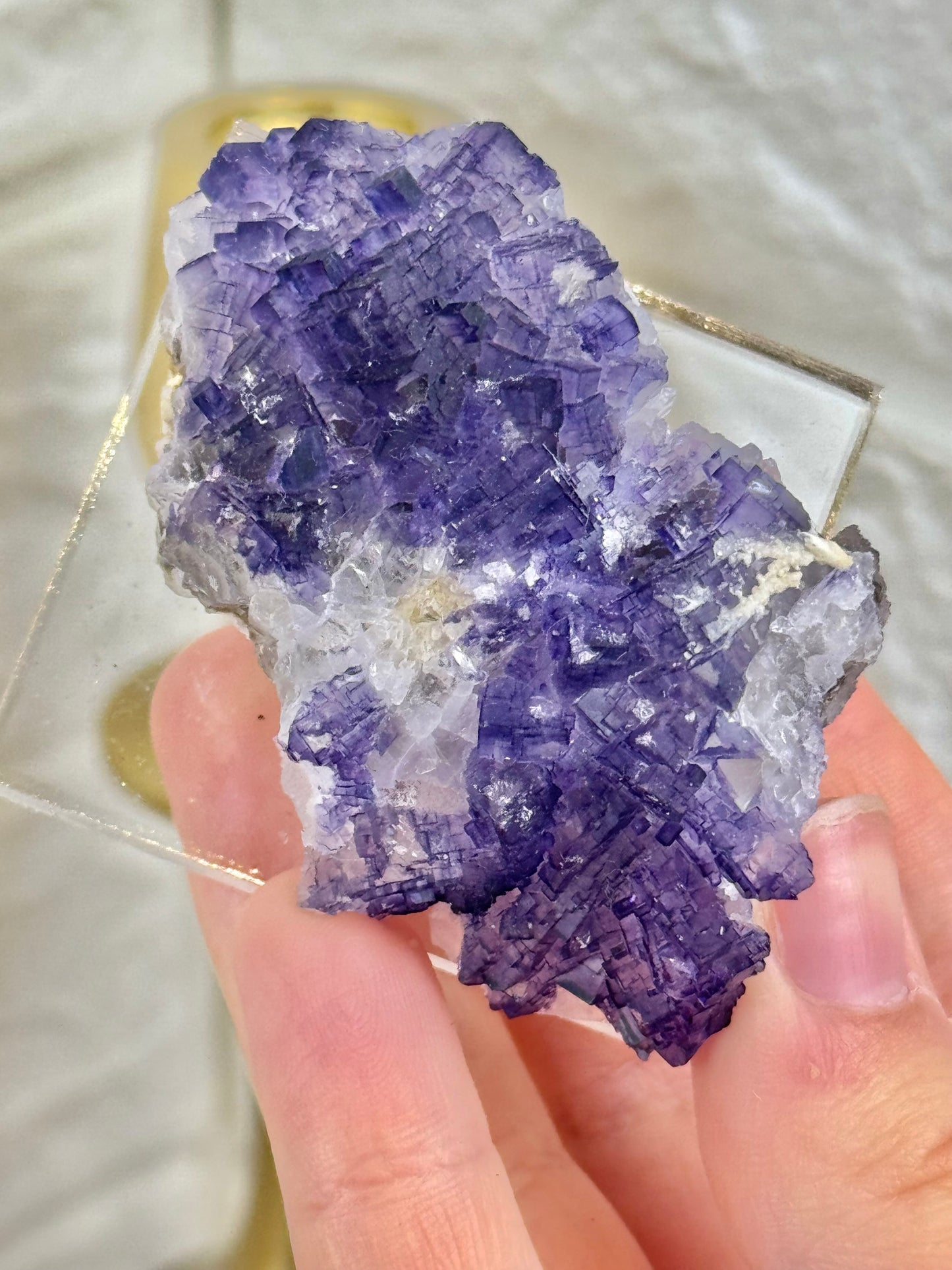 You pick! Incredible deep purple fluorites from the Tule mine in Mexico