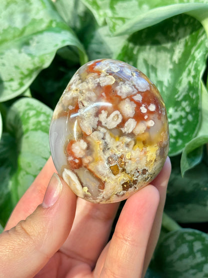 Flower agate palm stone from Madagascar